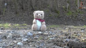 Poor Teddy