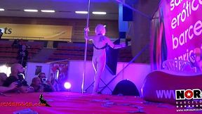 Sensual Pole Dancing Seduction for Adults