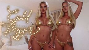 Greedy Shiny Gold Digger