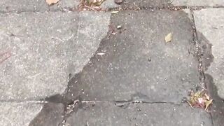 Japanese ladies are apprehensive they will got while piss