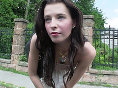 A pair of swingers pick a girl to have fun with in their car