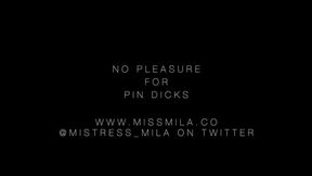 No Pleasure for Pin Dicks