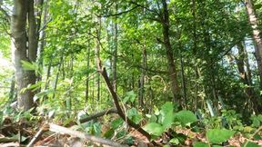 Tiny Human Casey in the Land of Giants POV 4K smaller