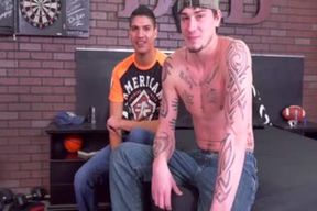 Box Kafig bonks Ricky