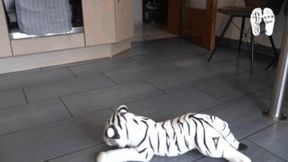 Poor stuffed Lion