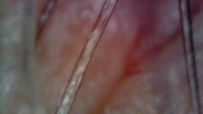 microscope or endoscope? sensational farts in a vore edition inside my ass 4k