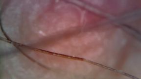 microscope or endoscope? sensational farts in a vore edition inside my ass 4k
