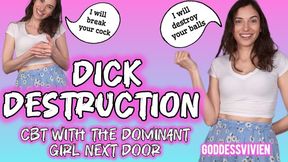 Dick Destruction CBT with the Dominant Girl Next Door Vivien Vee CBT Instructions and Tasks