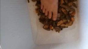 fajitas