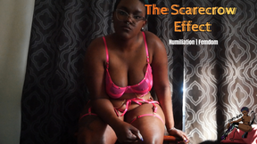 The Scarecrow Effect