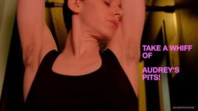 Audrey Sniffs And Licks Her Hairy Armpits