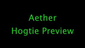 Aether: Hogtie Preview