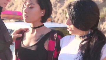 stunners cuffed and screwed rough by police of