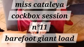 Miss cataleya cockbox session 11 barefoot giant load
