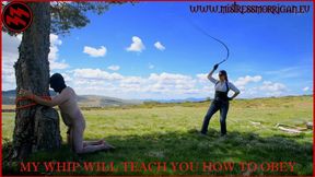 MY WHIP WILL TEACH YOU HOW TO OBEY