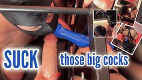 Cocksucking Blowjob Training with Huge Strap-ons | Mistress Karino, Lady Annabelle [MP4 FHD]