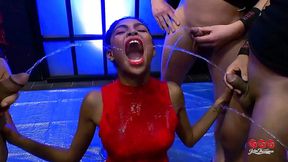 Wild Anal&#x1F44C; Fun Night