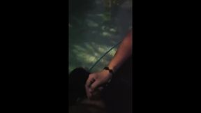 Giving the Pool Guy a Handjob for Payment