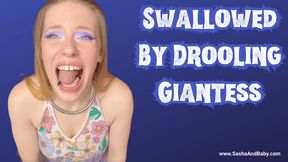 Giantess Mouth Drools, Teases, and Licks Tiny from Two Perspectives