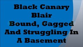 Black Canary Blair Bound, Gagged And Struggling In A Basement WMV
