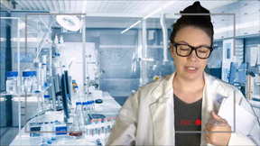 Doctor Bimbo