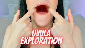 Uvula Exploration Fetish (MP4 480)