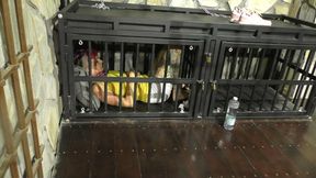 The Maya 72h Challenge - Maya Homerton - The ultimate Bondage Session - Clip 8 - In the Cage - Full Clip mp4 SD