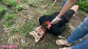 Slave Pig Humiliation Eat Mud and Grass by Princess Deh # SD MOBILE