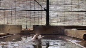 japanese girl bathing in a mixed outdoor bath at a hot spring inn