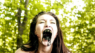 The Devils Darlings A Lust for the Desecrated