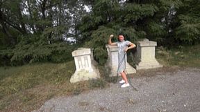 pull the statues or a tree and car c