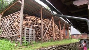 Teens And Tiroler Sex