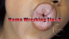 Home Wrecking Lips 3