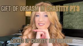 The Gift of Orgasm in Chastity Part 3 - Locked Up Chastity Boy Forever featuring Sensual Lala