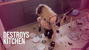 DESTROYS OBJECTS Julia smashes your kitchen