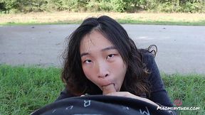 Asian gal blows off the dude's cock in the roadside - POV