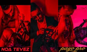 Cheating Wife Gets Punished Hard - Payo Pro, Noa Tevez