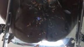 Enormous Sexy Giantesses Bounces and grinds on Pathetic Tinies 1080 smaller