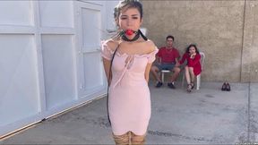 The Sadistic Couple Used Me For Their Entertainment (wmv)