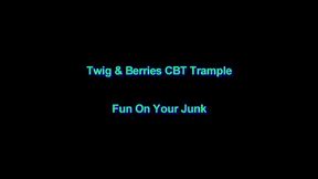 Fun On Your Junk