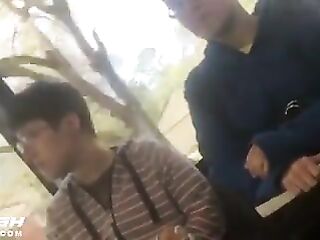 Bulge Flash compilation