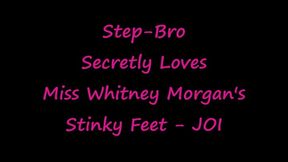 Step-Bro Secretly Loves Whitney Morgan's Stinky Feet JOI