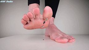 Z's linty feet crush tinys - MP4