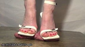Squashed until you Cum! SD