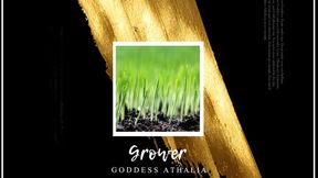 Grower