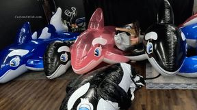 Cinthya Inflates Multiple HUGE Whales HD (1920x1080)