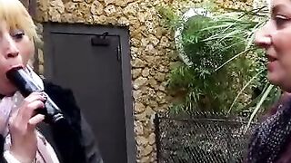 Le dressage de Zora benlokbi