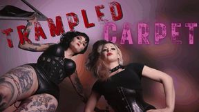 Trampled Carpet (WMV)