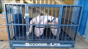 Cage Time With Chains