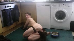 pet play with my pretty butt plug tail. don t i look cute drinking out of my water bowl on the floor with my hands in leather...
